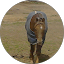 Kayla Moore Avatar